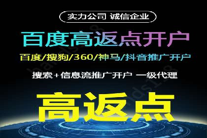 深度解读：百度推广运营的五大成功案例
