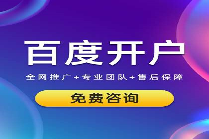某品牌SEM代运营的成长历程与启示